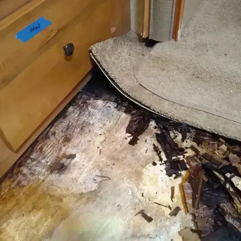 Wood Floor Water Damage in Clear Creek County, CO